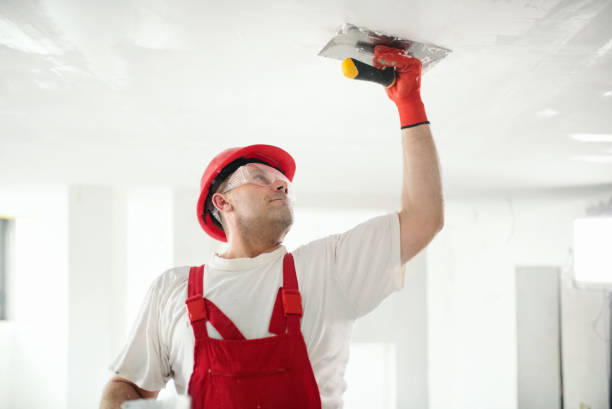 Best Ceiling Drywall Installation  in Sterling, CO